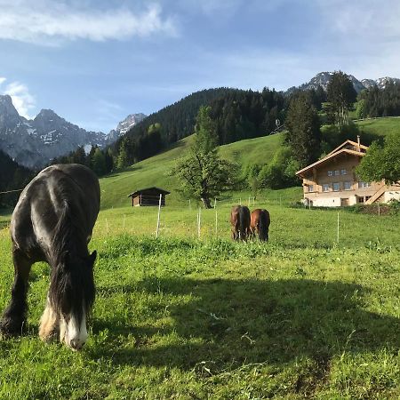 샤또데 Au Pre Des Chevaux B&B 외부 사진