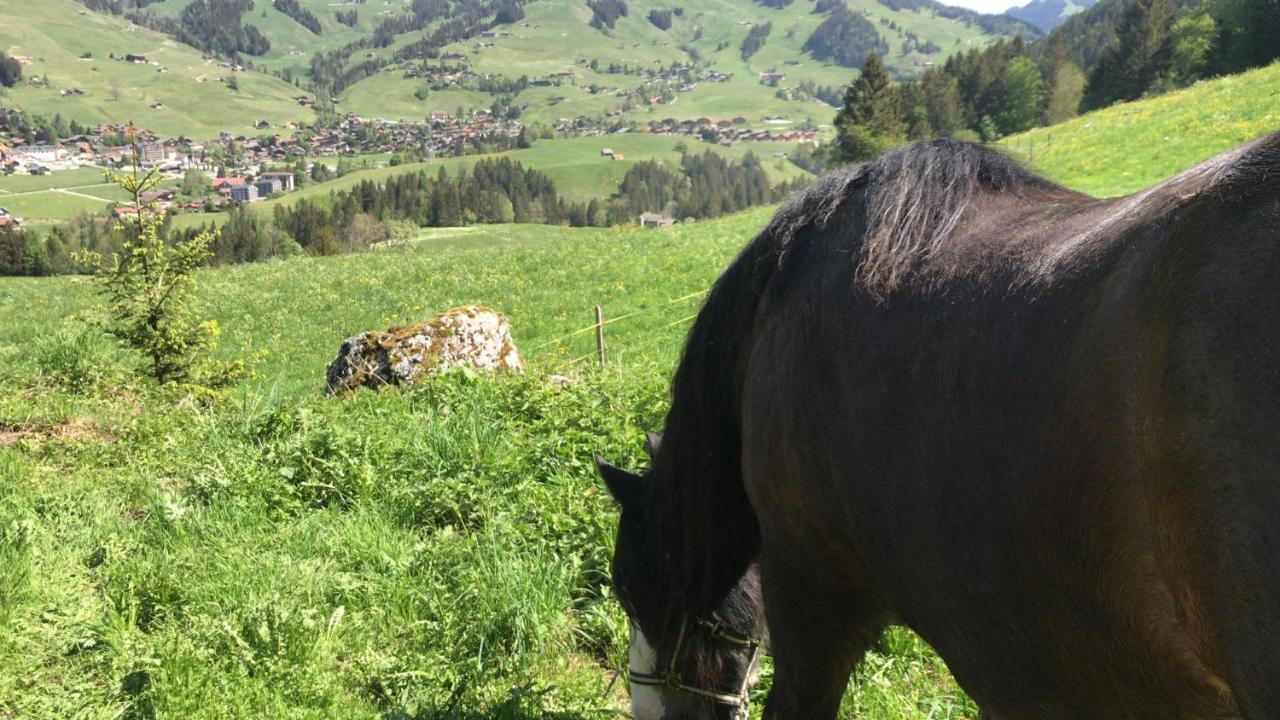 샤또데 Au Pre Des Chevaux B&B 외부 사진
