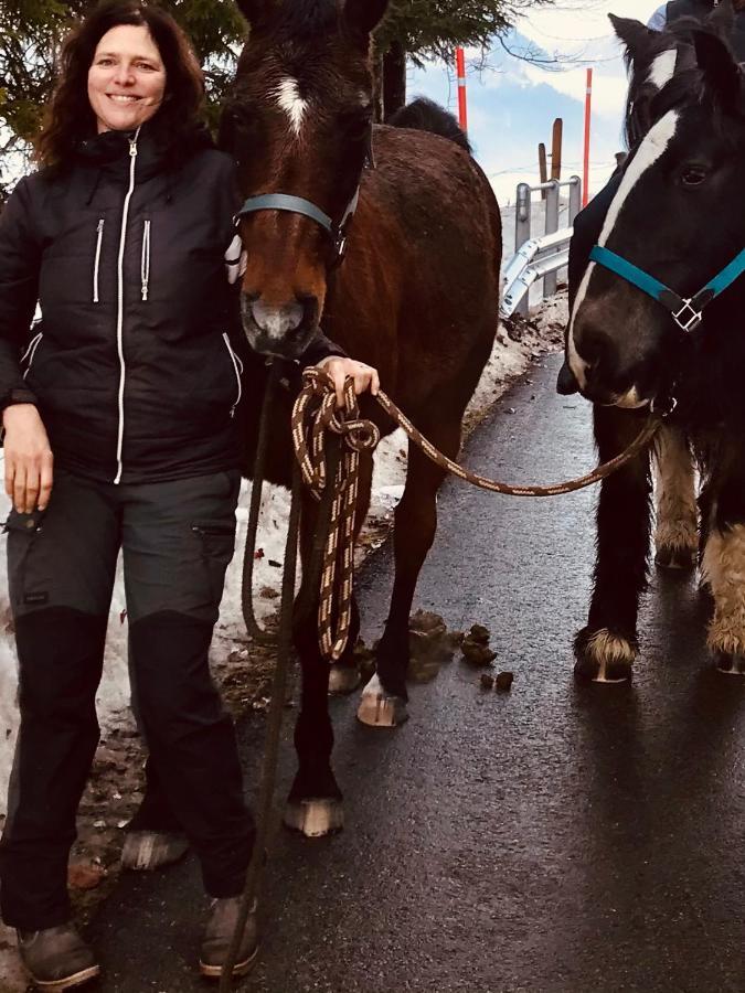 샤또데 Au Pre Des Chevaux B&B 외부 사진
