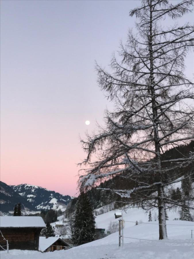 샤또데 Au Pre Des Chevaux B&B 외부 사진