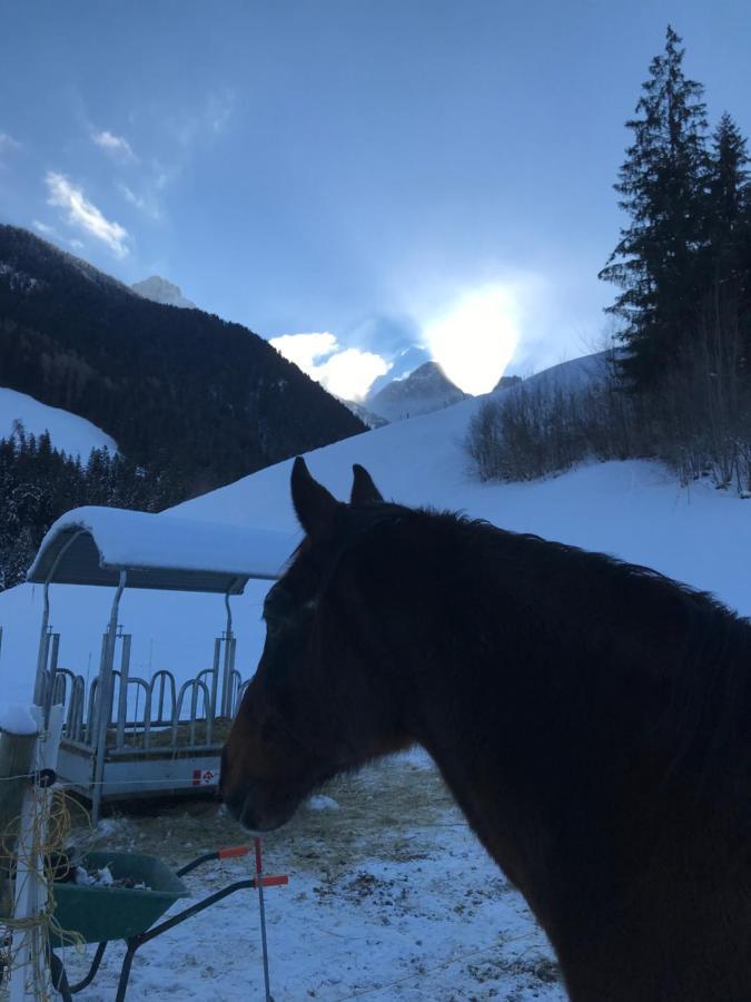 샤또데 Au Pre Des Chevaux B&B 외부 사진