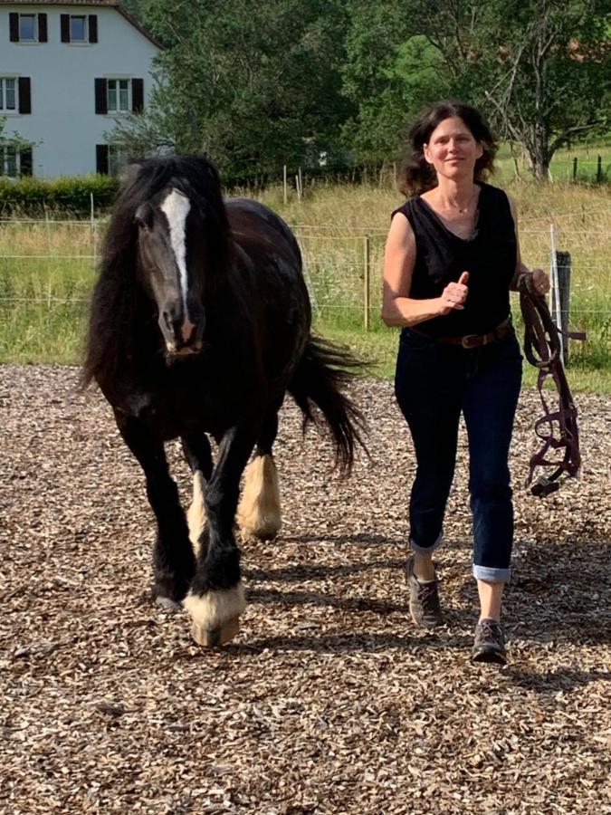 샤또데 Au Pre Des Chevaux B&B 외부 사진