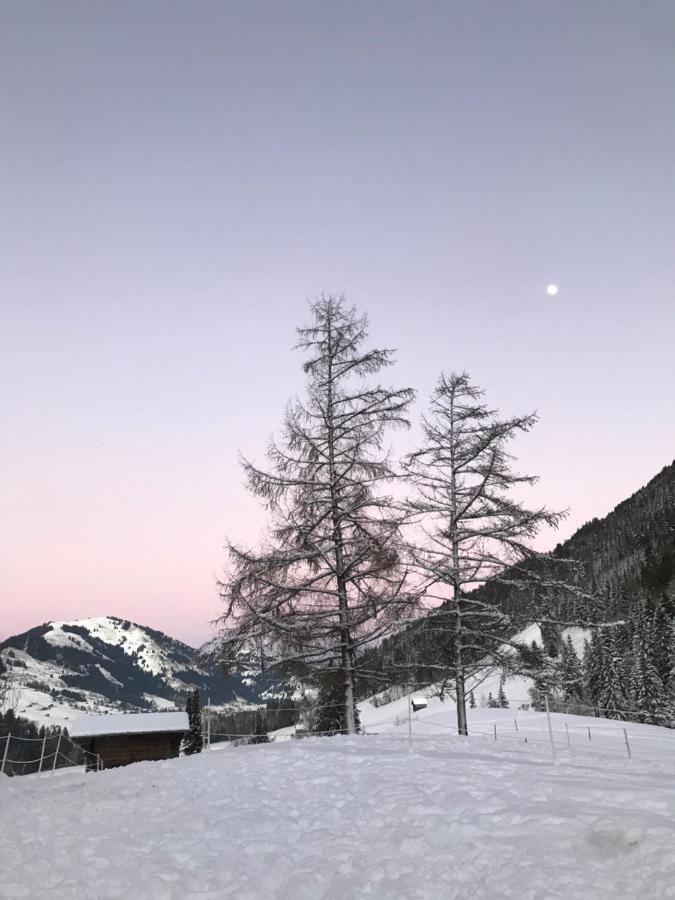 샤또데 Au Pre Des Chevaux B&B 외부 사진