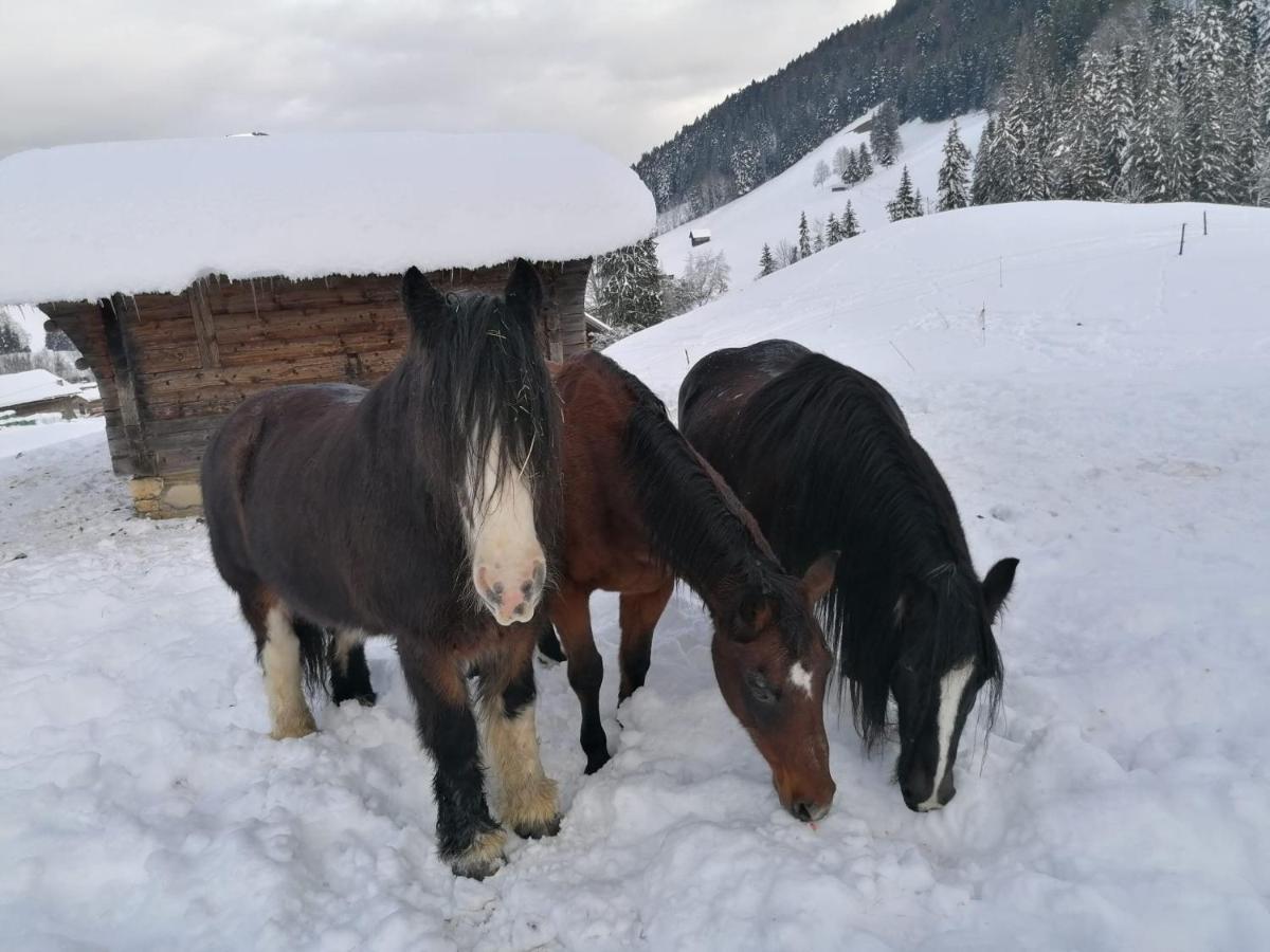 샤또데 Au Pre Des Chevaux B&B 외부 사진