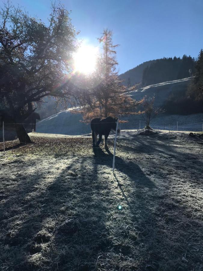 샤또데 Au Pre Des Chevaux B&B 외부 사진