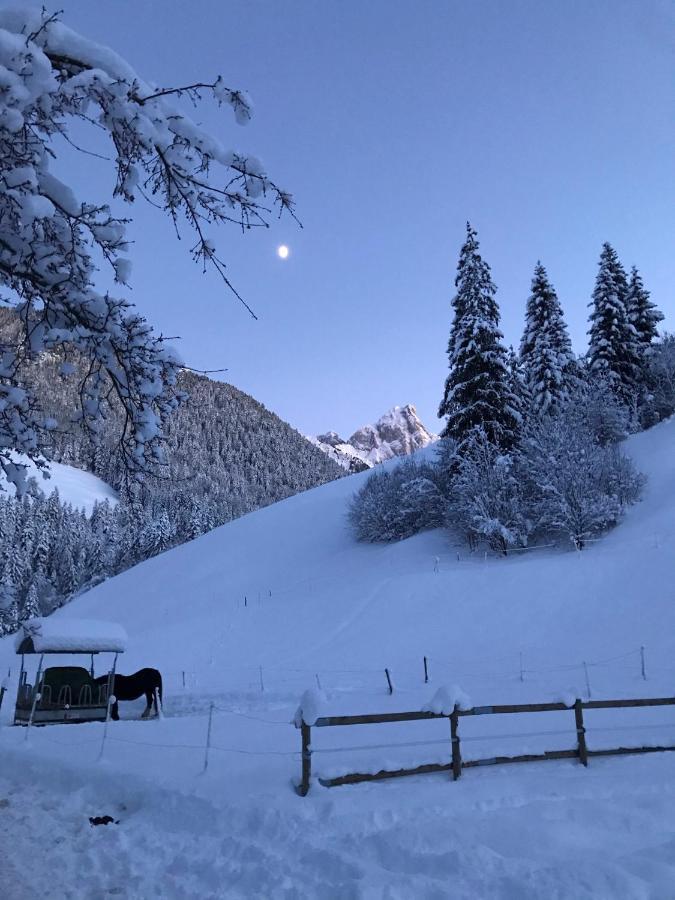 샤또데 Au Pre Des Chevaux B&B 외부 사진