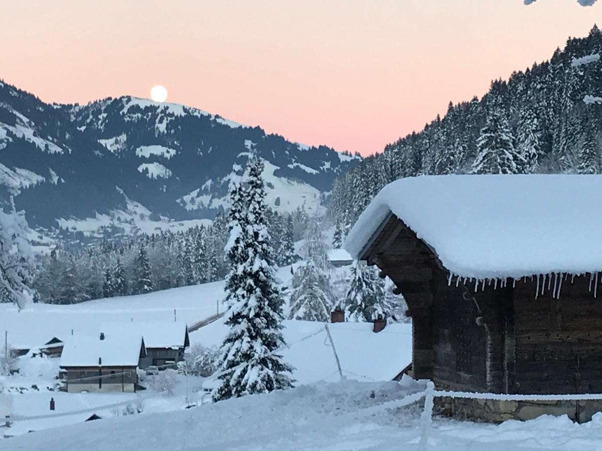 샤또데 Au Pre Des Chevaux B&B 외부 사진
