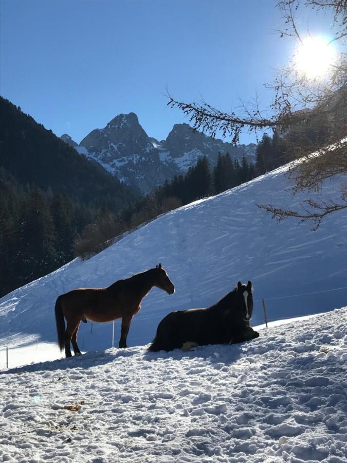 샤또데 Au Pre Des Chevaux B&B 외부 사진