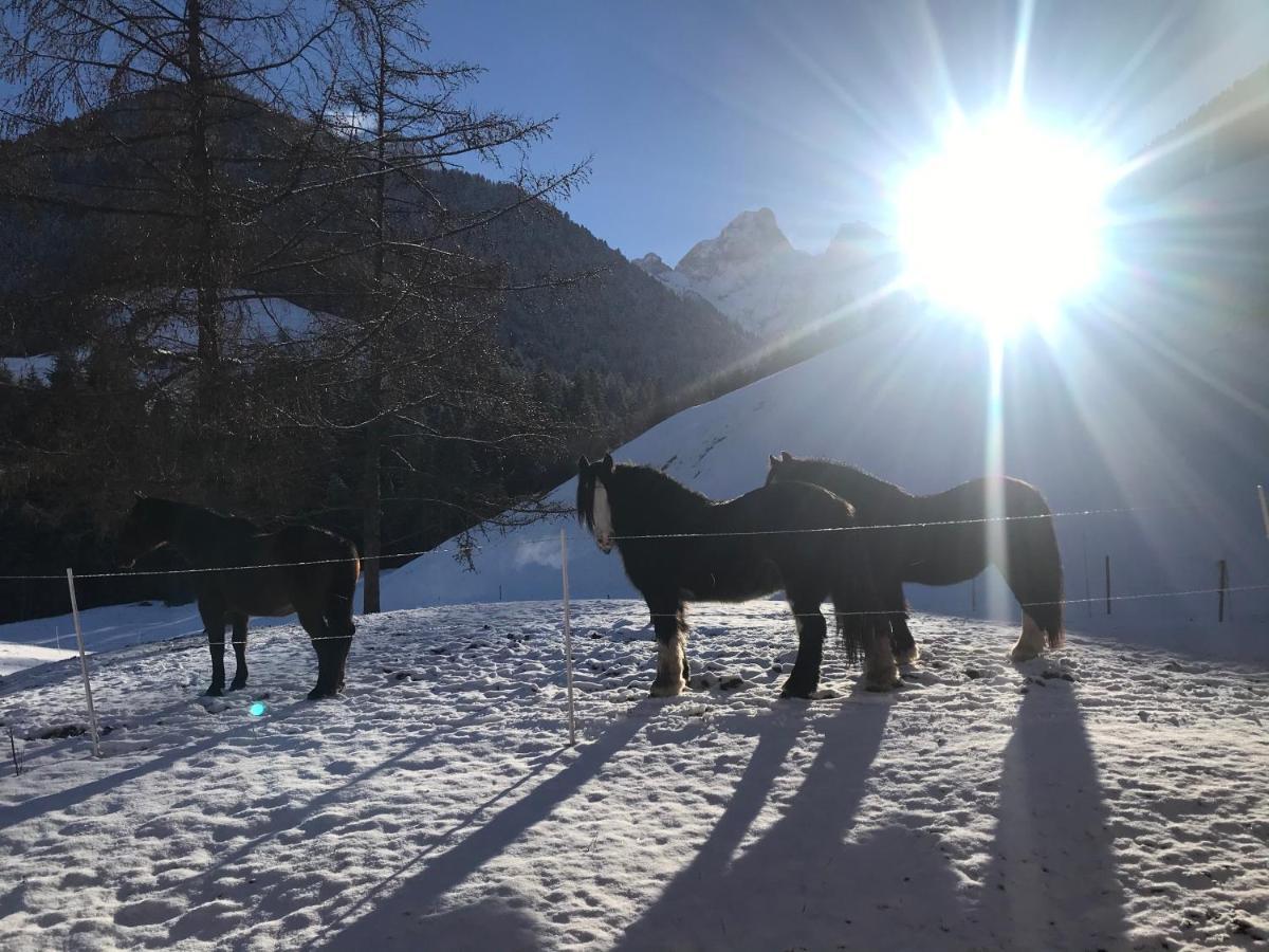샤또데 Au Pre Des Chevaux B&B 외부 사진