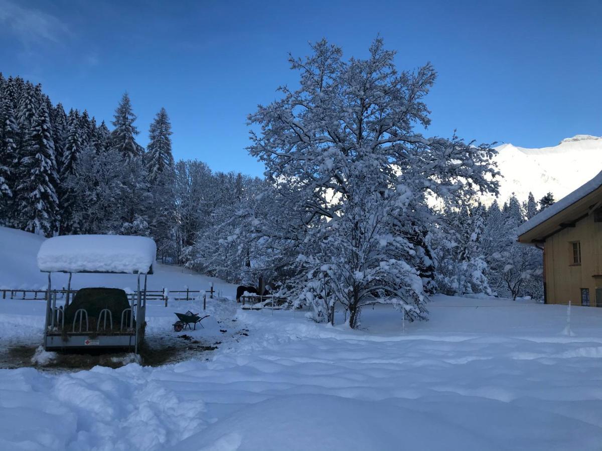 샤또데 Au Pre Des Chevaux B&B 외부 사진