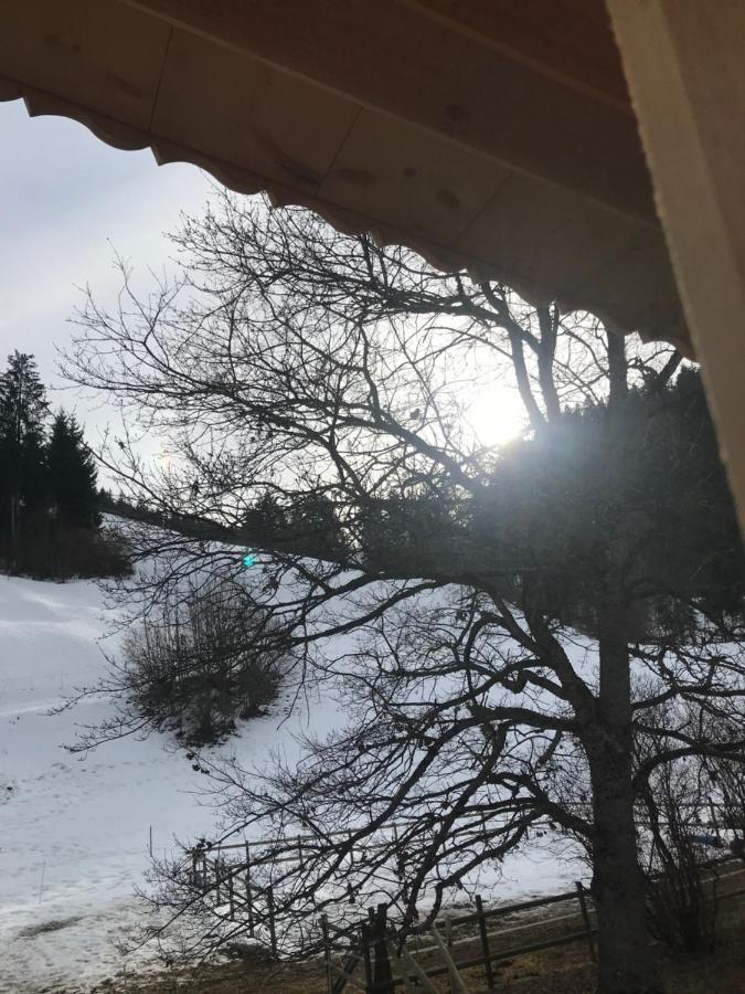 샤또데 Au Pre Des Chevaux B&B 외부 사진