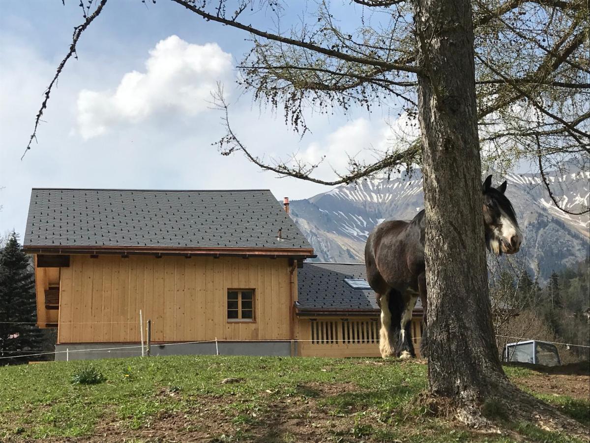 샤또데 Au Pre Des Chevaux B&B 외부 사진